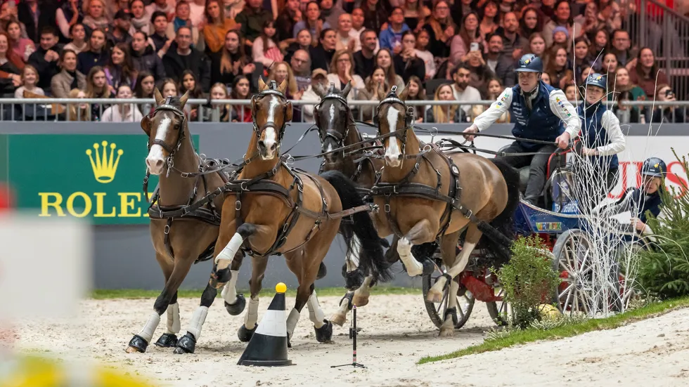 Opnieuw zilver voor Dries Degrieck