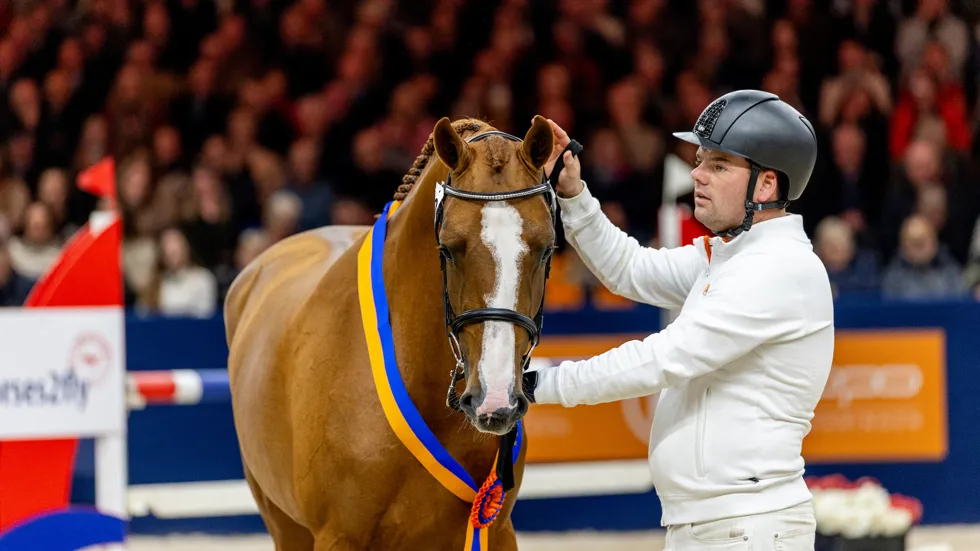 Crescendo van de Boxem Z