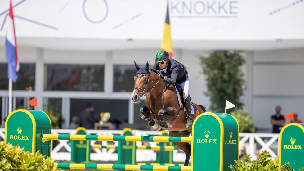 Mosito van het Hellehof, wiens nakomelingen nog relatief jong zijn, laat nu al zien dat hij de komende jaren een geduchte concurrent zal zijn.