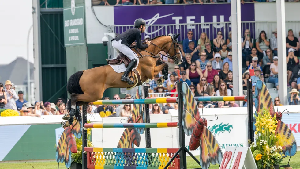 Jerenmias van het Hulstenhof: twee dagen, twee zeges, één klassepaard