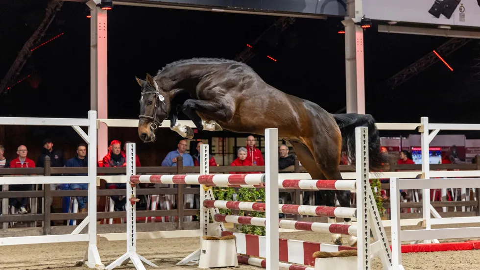 Azizi de Regor pakt de titel