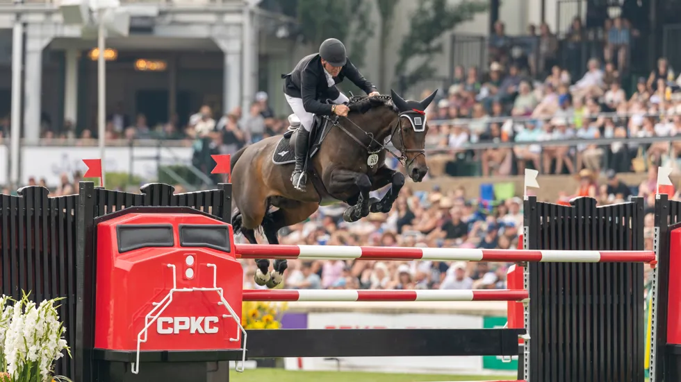 Kayenne Z bevestigt topvorm: opnieuw winst voor fokproduct van Kristof Engelen