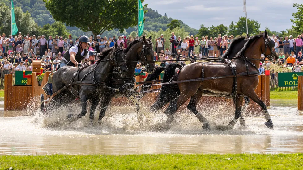 Winst voor Dries Degrieck