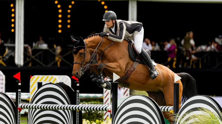 Philippaerts en Belgische fokproducten schitteren op Amerikaanse bodem