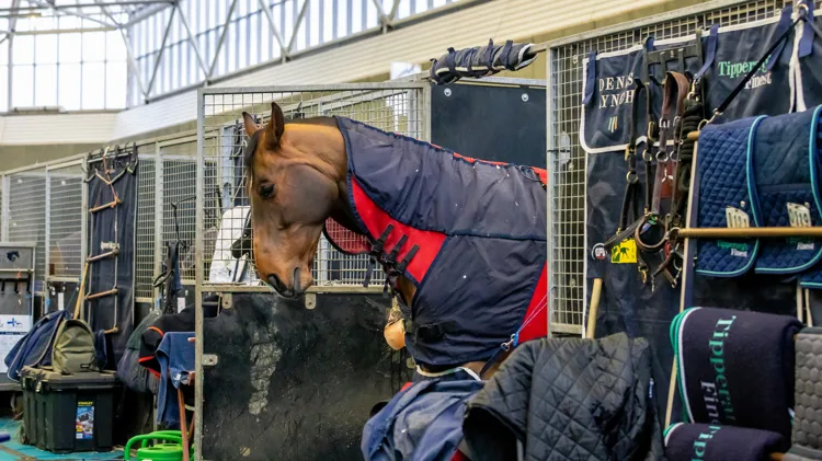Aftellen naar een nieuwe internationale week