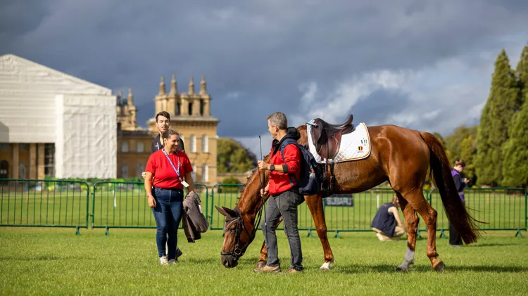 Aftellen naar een nieuwe internationale week