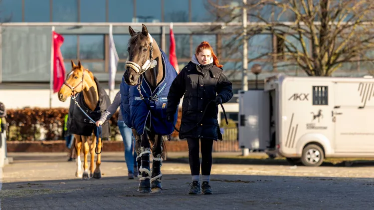 Vooruitblik naar een nieuwe internationale week