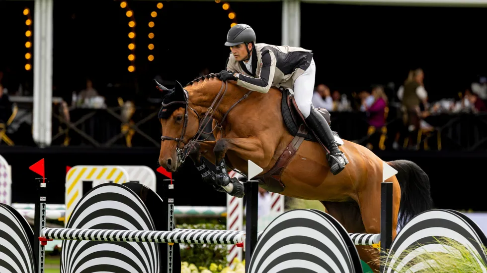 Philippaerts en Belgische fokproducten schitteren op Amerikaanse bodem