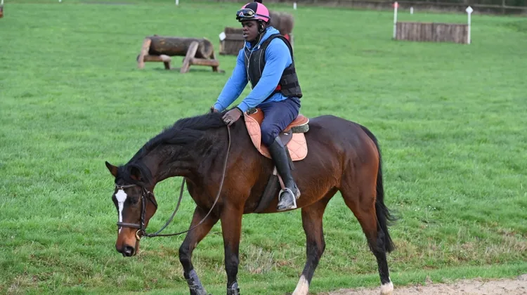 EFEA propose un parcours de formation structuré et professionnalisant, combinant le BPREA support équin et le Certificat de Spécialisation, pour préparer efficacement aux métiers de la filière équine.