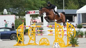 Baron RR Z springt naar winst in 1m50-hoofdrubriek