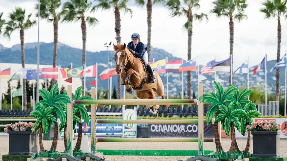 Oxford vd Witte Driesendijk