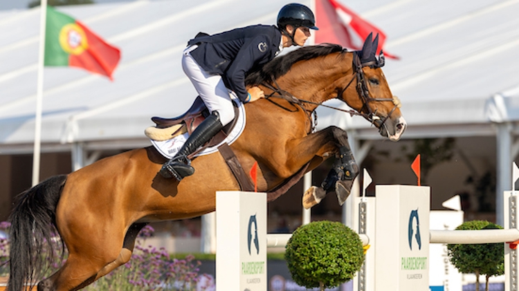 Van Lent Maverick, BEL, Forever du Givre Belgisch Kampioenschap Seniors Zangersheide - Lanaken 2024