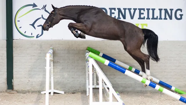 Veilingtopper Roli Coeur Field