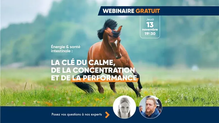 Webinar gratuit - jeudi 13 novembre 2025