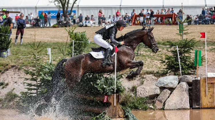 Du 20 au 23 août, le CCI de Saulieu fête sa sixième édition dans le Parc du Morvan avec une compétition internationale de haut niveau, entrée gratuite et animations pour toute la famille.