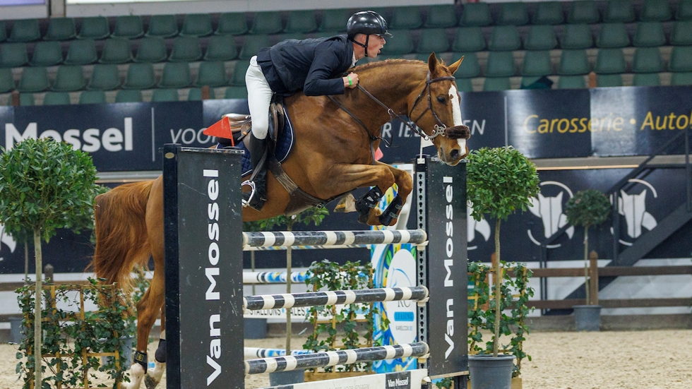 Thian Van Hoydonck en Top Gun tijdens de hengstencompetitie