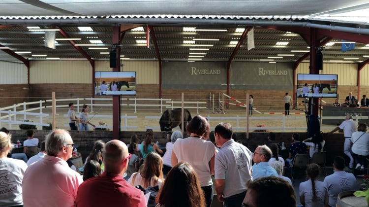 Si les ventes uniquement online sont également possibles, Balsan Enchères Horses tend à privilégier les ventes physiques, lieux d'échanges fructueux et conviviaux
