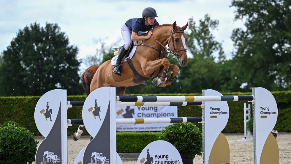 De volledige collectie is nu beschikbaar op: www.youngchampions.auction