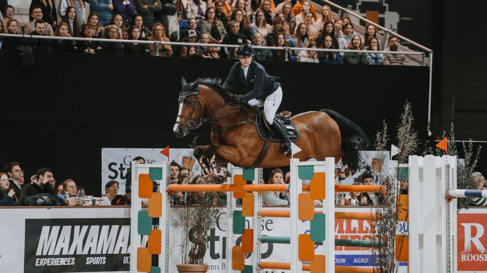 Vier dagen lang wordt Gent het kloppende hart van de paardensport