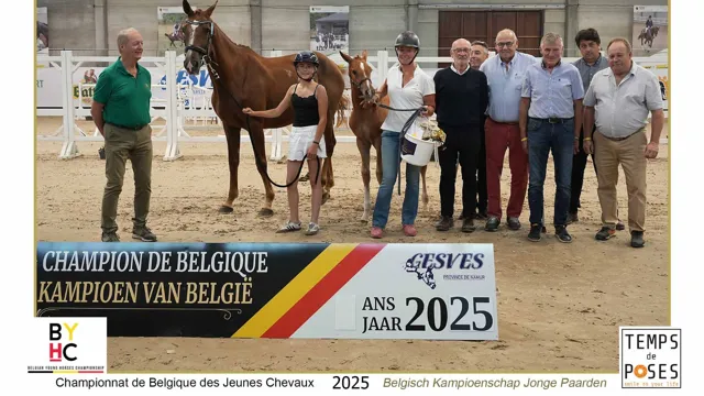 Winnaar veulenreeks optie springen