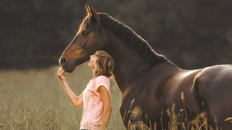 Destrier, la référence française de nutrition équine