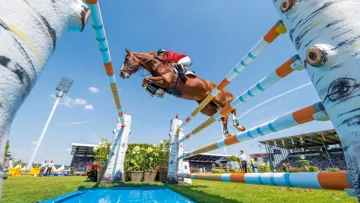 Cavalor : Leader en nutrition pour les chevaux de sport de haut niveau