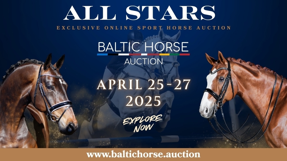 @Baltic Horse Auction