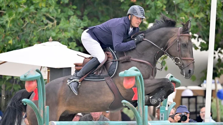 Fellini de la Cense, qu’il monte depuis 2024, permet à Patrice Delaveau de participer à des épreuves à 1,50m. 