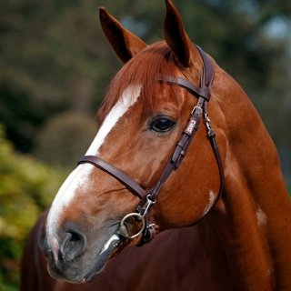 Emerald van't Ruytershof