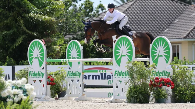 Crislin van den Bosrand Z