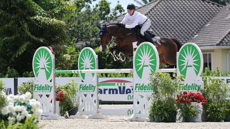 Crislin van den Bosrand Z