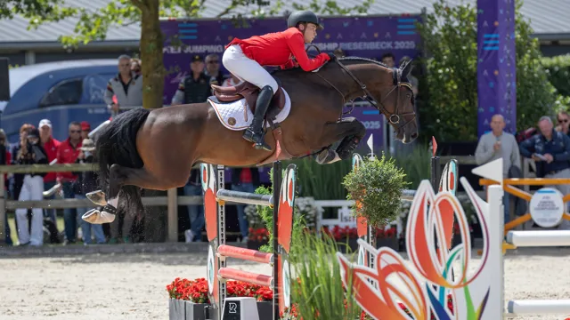 Mathieu Guery