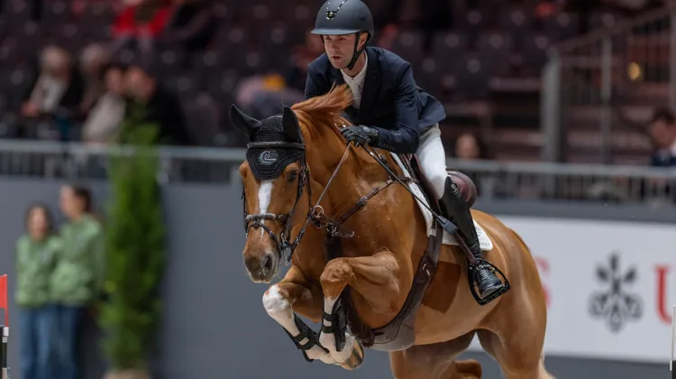 Deuxième l'an dernier lors de ce même Grand Prix, l'actuel numéro cinq mondial a cette fois ravi le public sur Qalista DN.