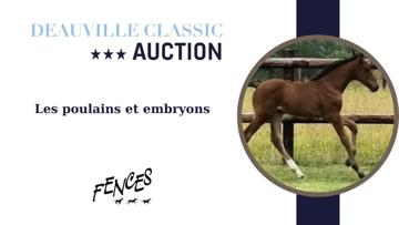 Deauville Classic Auction - poulains et embryon 