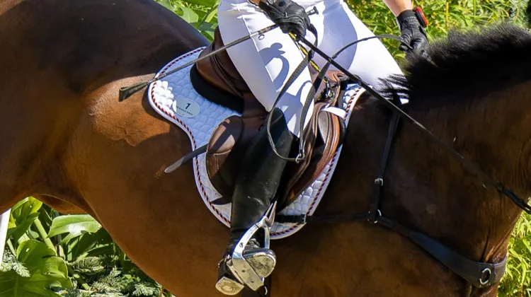 “La cravache est l’un des outils les plus visibles, et immédiatement sujet à interprétation, que nous utilisons”, estime Matt Brown.