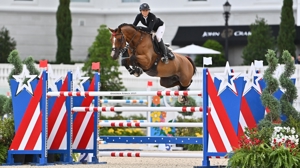 Verdini d'Houtveld Z