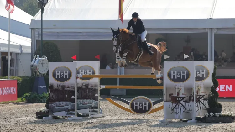 Rolex van de Grenshoeve