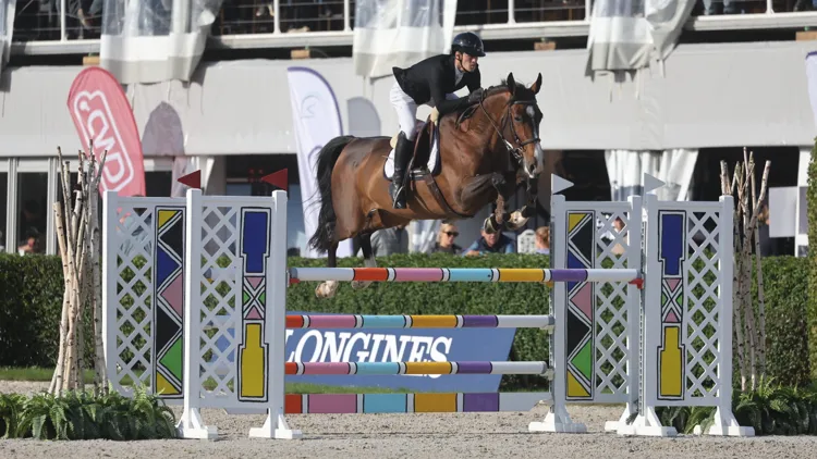 Dalina van het Grenshof Z wint bij De Peelbergen