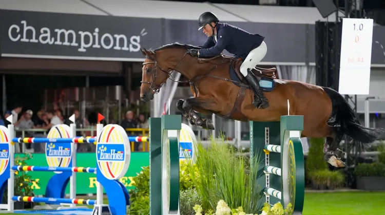 Jens Fredricson compte sur piquet de chevaux très réduit, dont le meilleur élément est Markan Cosmopolit. 