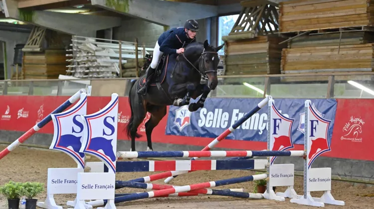 Eden Leprevost Blin-Lebreton prépare désormais deux jeunes étalons du GFE, Kabri du Marais et Latino Los, pour une saison 2026 prometteuse.