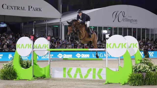 S&L Quatro van de Meerputhoeve tweede in vijfsterren Grote Prijs van Doha