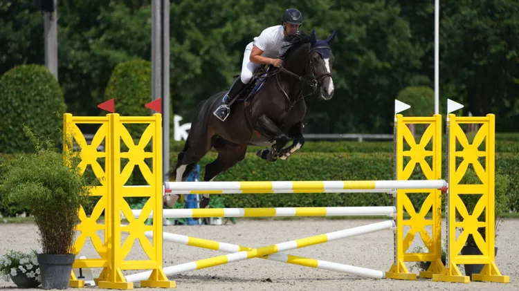 Geenen domineert 6-jarigen in Beker van België bij JV-Horses