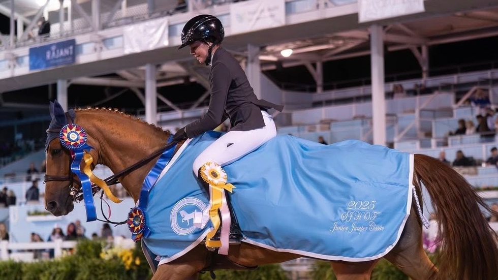 Oh My Star Van Strijtem won in Devon