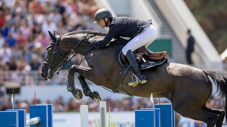 À quinze ans et après une opération réussie, Ilex VP a repris le rôle de cheval de tête dans le piquet du Nordiste. 