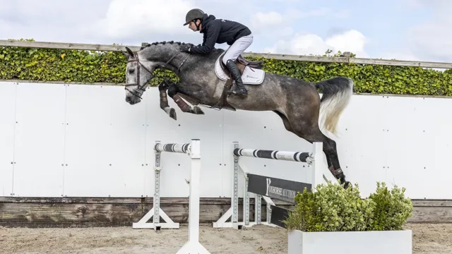 De vierjarige hengst Silver Storm EVO (Verdi x Cavalier) werd voor 32.000 euro verkocht aan kopers uit Mexico.