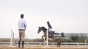 Il est difficile d’imaginer une véritable culture du bien-être équin sans une connaissance fine des besoins fondamentaux du cheval.