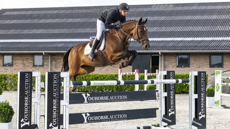 Quickborn 8 was de veilingtopper van de avond