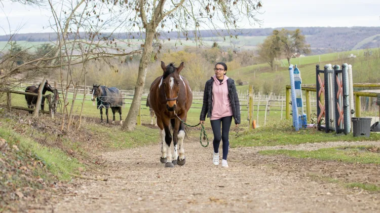 Les Laboratoires Audevard proposent une évaluation santé gratuite en ligne pour aider les cavaliers à repérer les signes discrets de problèmes locomoteurs, digestifs ou respiratoires chez leur cheval.