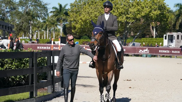 Désormais pleinement tourné vers l’entraînement, Franck Schillewaert collabore entre autres avec Rodrigo Pessoa.