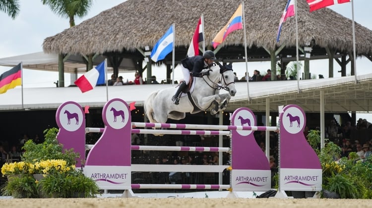 À Wellington, Kent Farrington et Greya se sont imposés sur leurs terres.